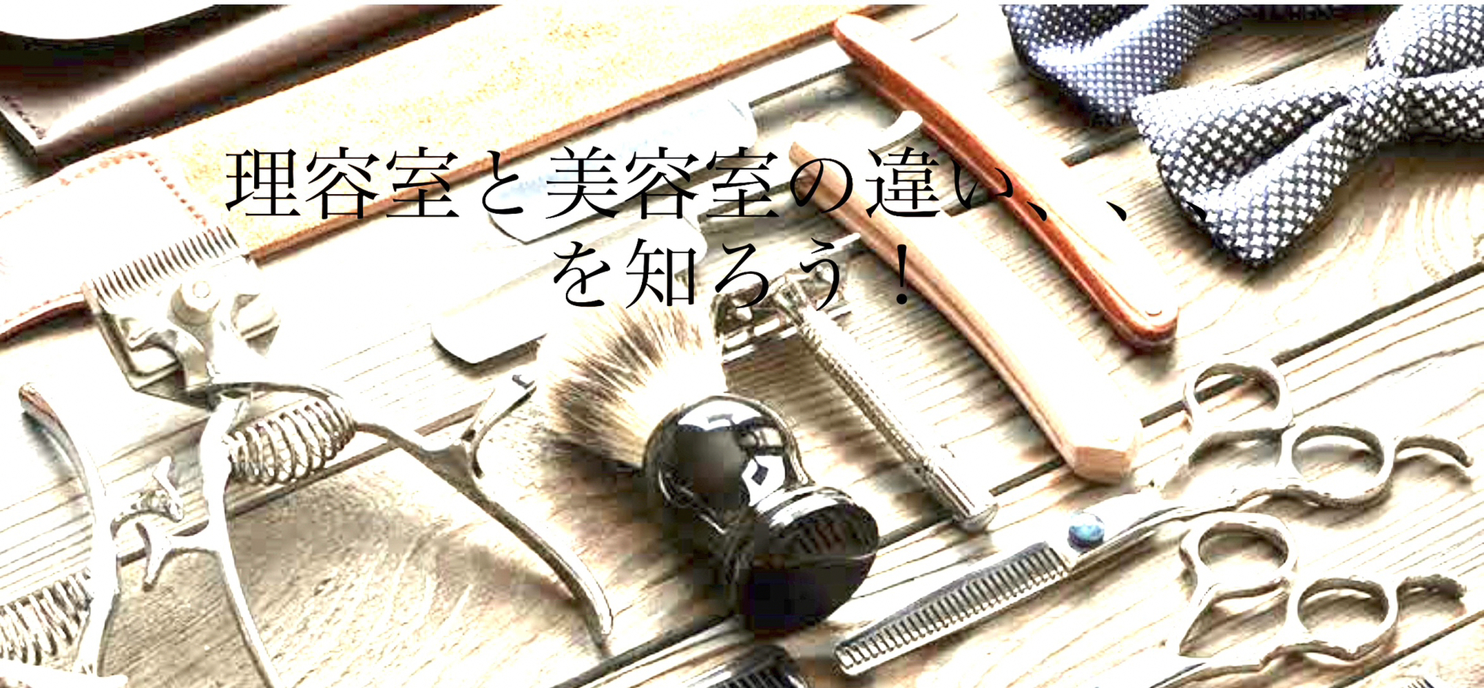 画像1595
